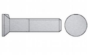 din-604-fladhoved-bolt-rustfri-a2-rf