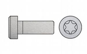 iso-14580-lav-ch-bolt-torx-rustfri-a2-rf